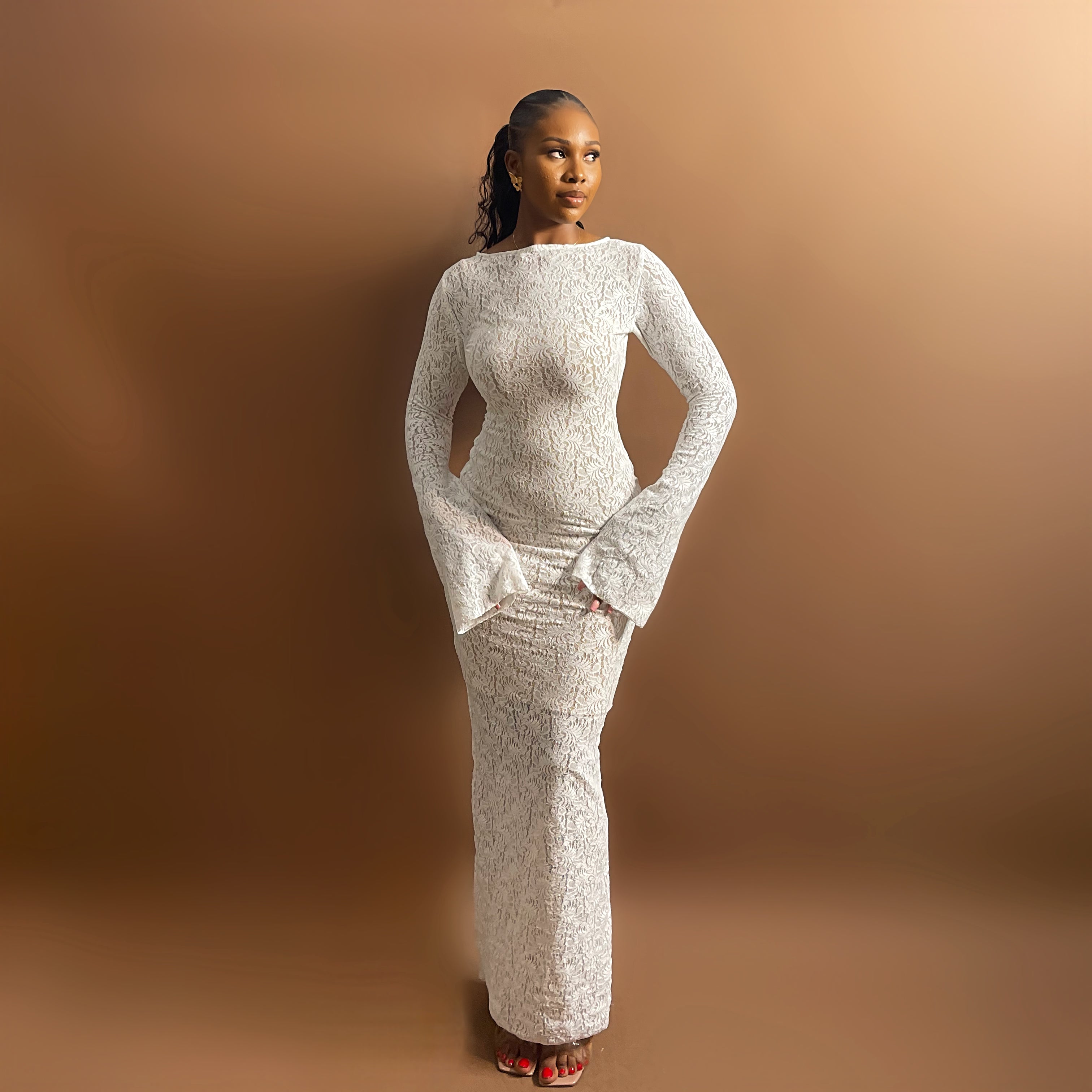 Sade Mesh Lace Dress (Snow Blossom)