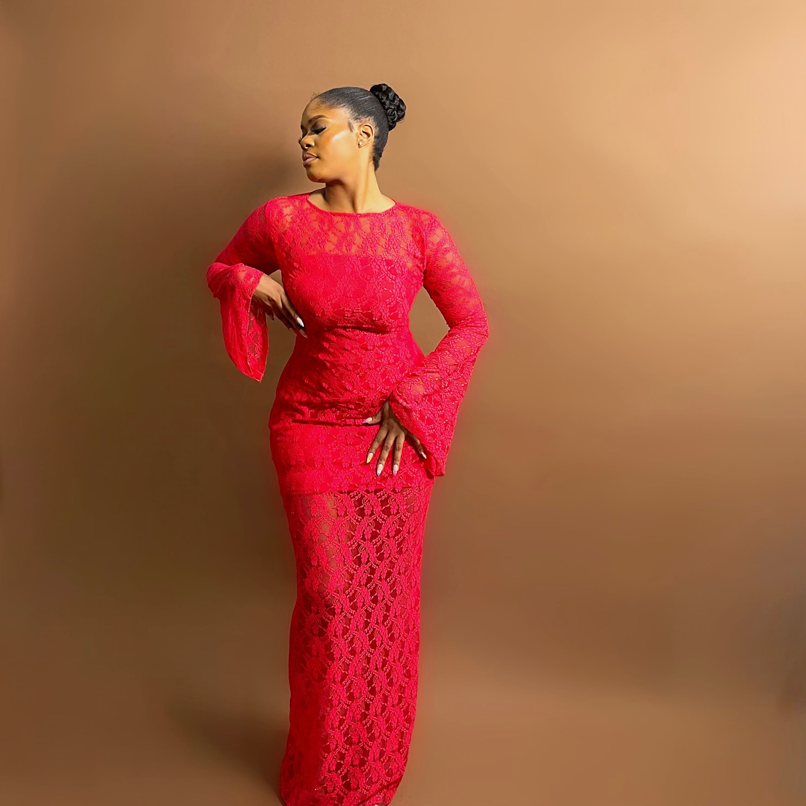 Sade Lace Dress (Crimson Vine)