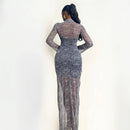 Simi Mesh Dress (Moonlit Lace)