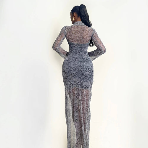 Simi Mesh Dress (Moonlit Lace)