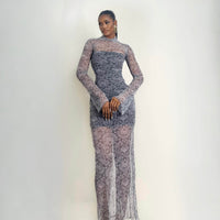 Simi Mesh Dress (Moonlit Lace)