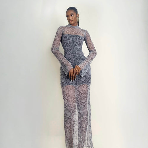 Simi Mesh Dress (Moonlit Lace)