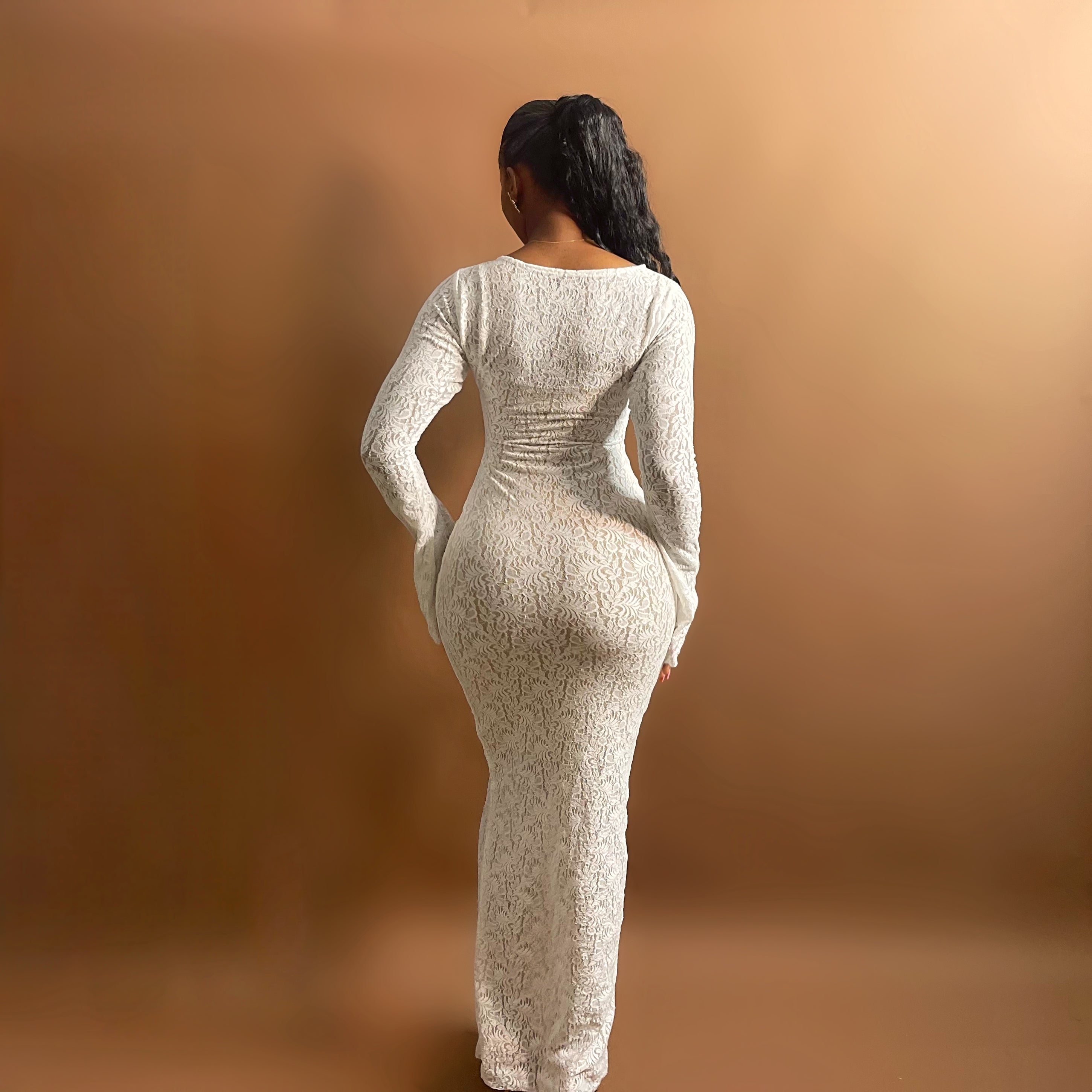 Sade Mesh Lace Dress (Snow Blossom)