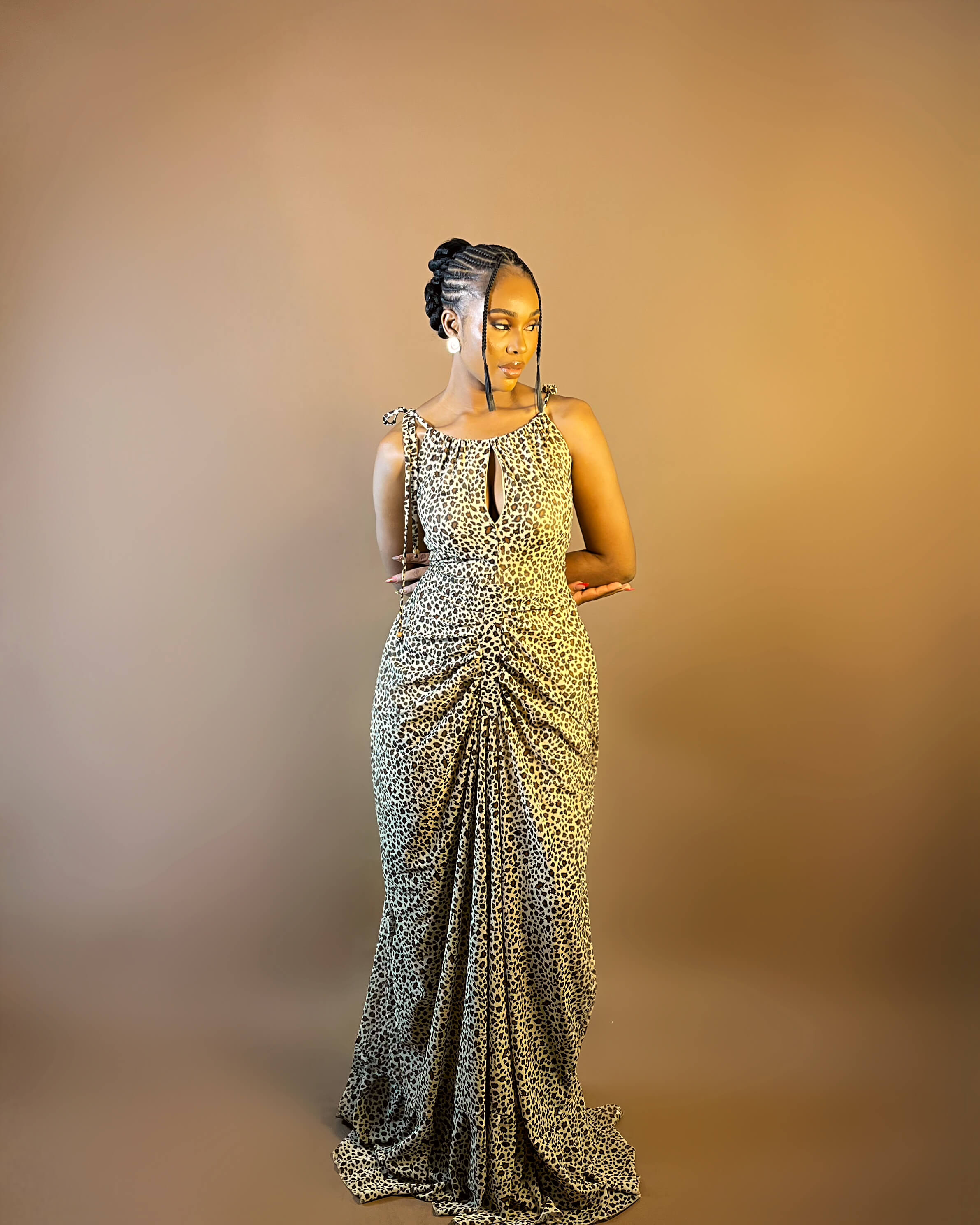 Dania Dress (Luxe Leopard)