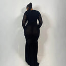Ivy Mesh Dress