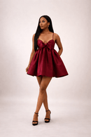 Mirella Mini Dress (Made To Order)